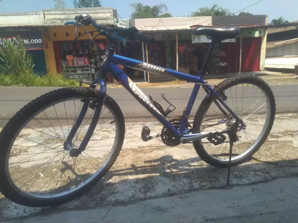 Sepeda mtb polygon