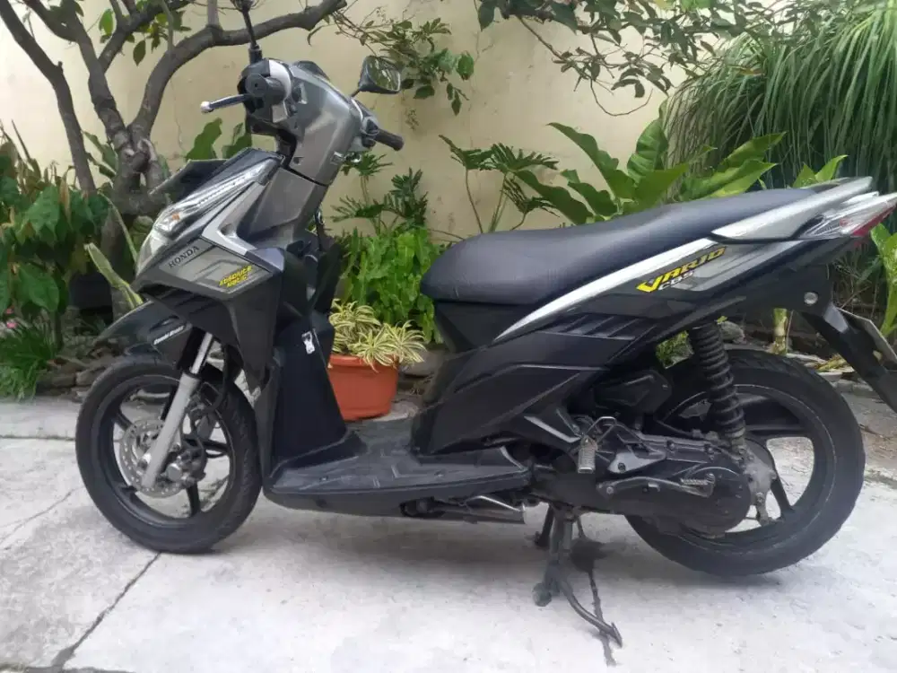 Vario Techno 2010