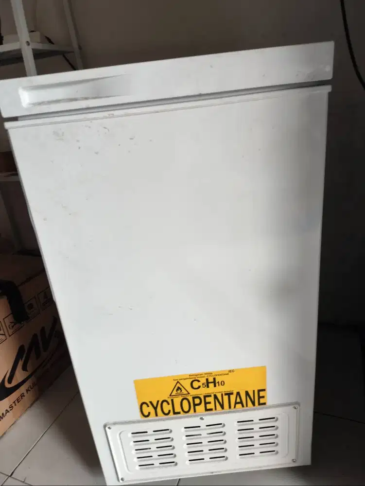 Freezer RSA 100 L