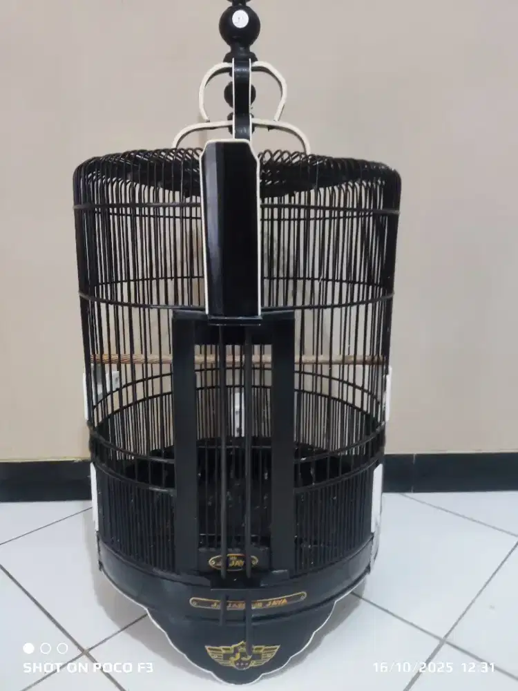Sangkar Anis Merah D38 mulus