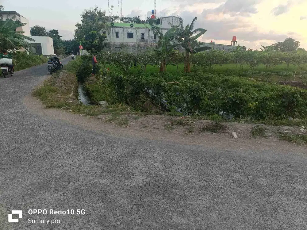 Jual Murah Tanah sawah di Sumberagung Jetis Bantul Yogyakarta