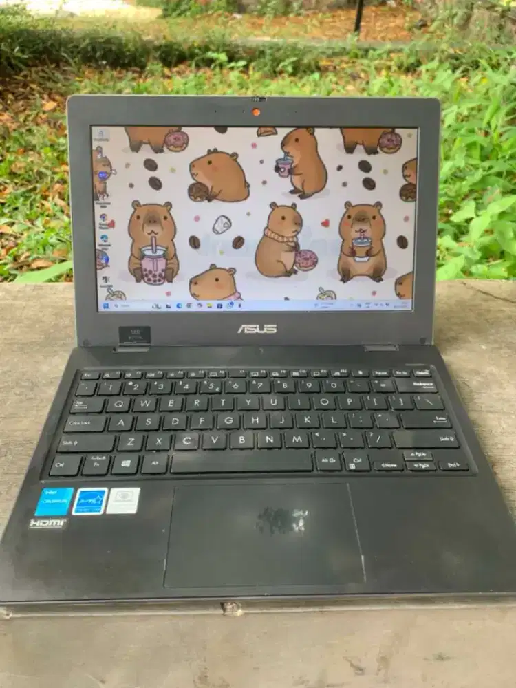 Asus BR1100CKA 2021