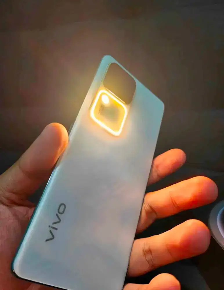 Vivo V30 12/512 Dus, Kabel Dan Casan Original. NORMAL TANPA KENDALA