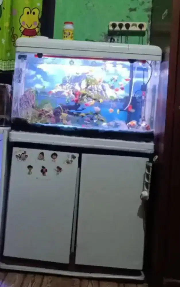 jual aquarium kaca lengkung 80×50×50 cm + meja dan ikan ikan nya..