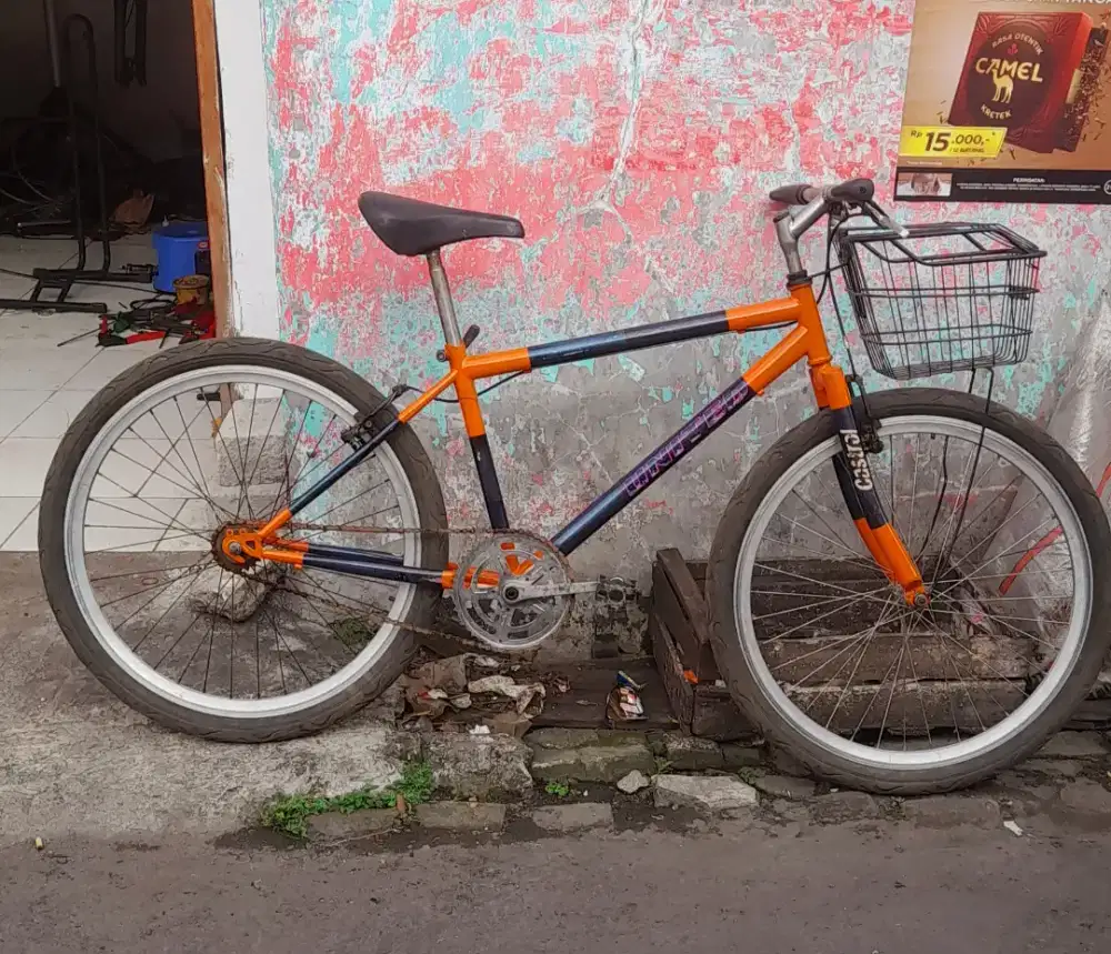 Sepeda Commuter Single Speed
