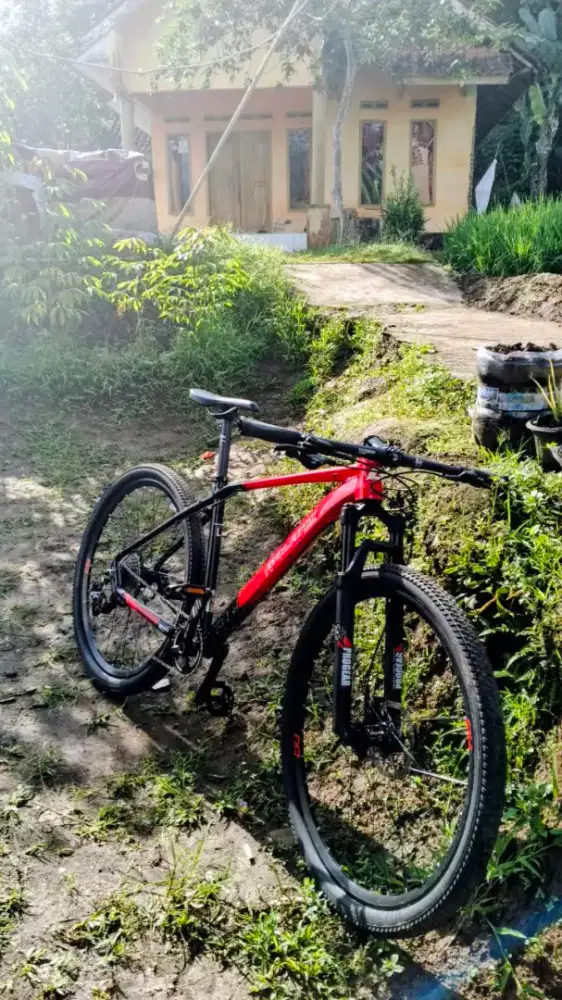 MTB GALANT Neo 12 speed