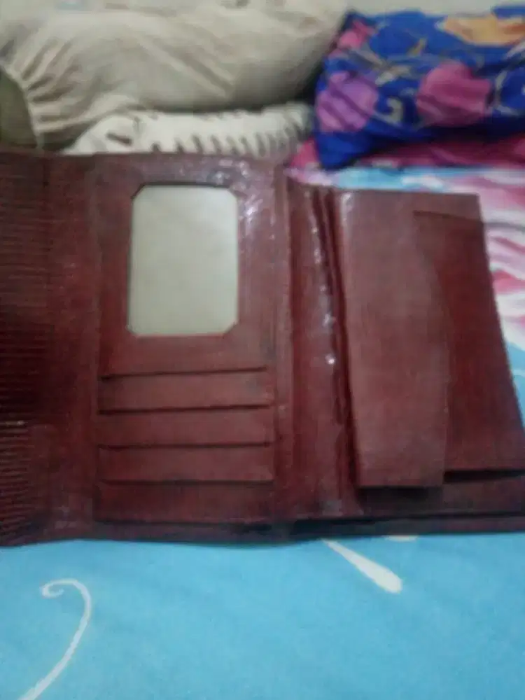 Edisi bongkar lemari