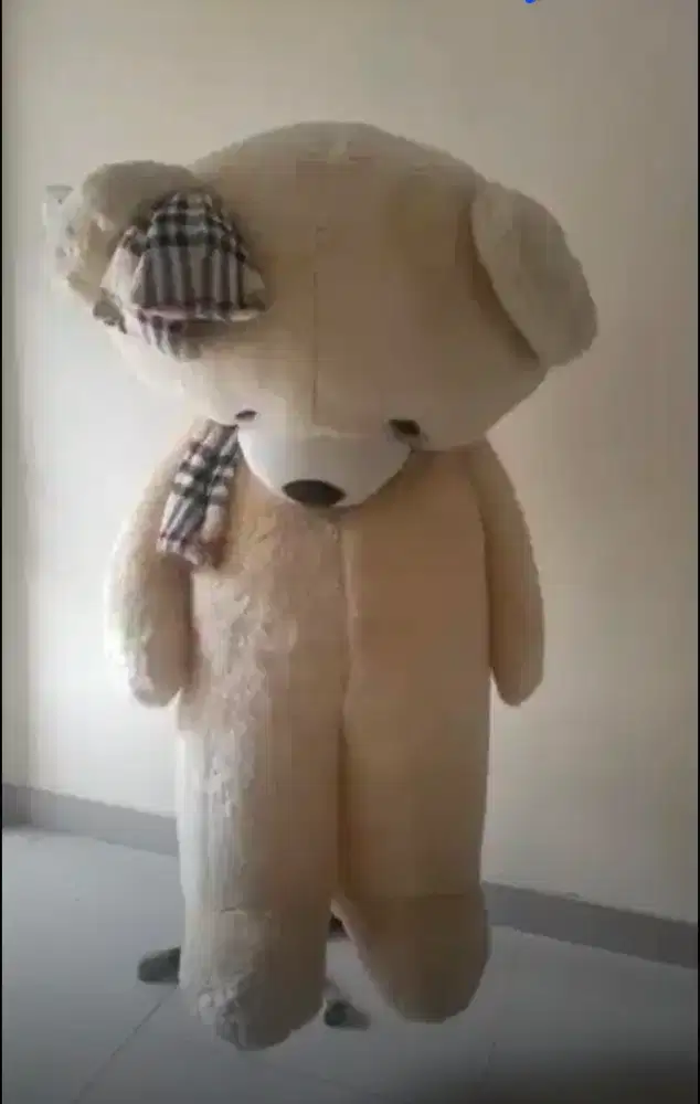 Boneka beruang asli isbon 1,6meter