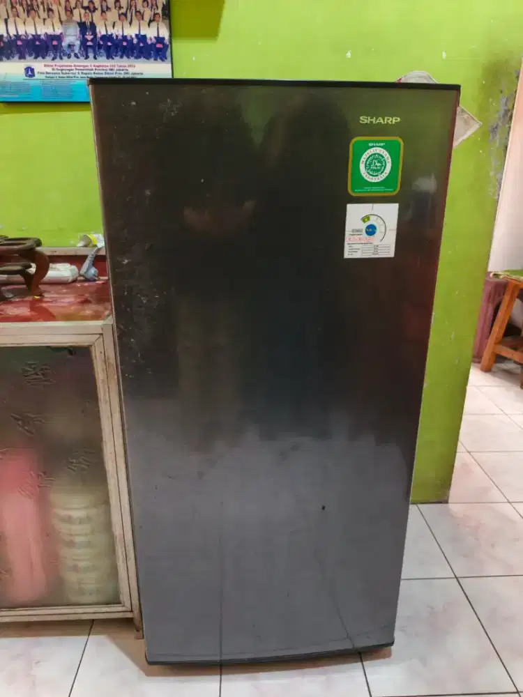 Kulkas 1 pintu SHARP