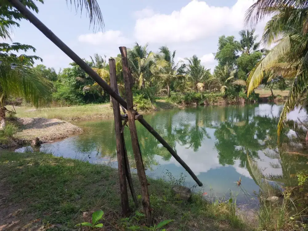 DIJUAL TANAH ADA KOLAM DEKAT PANTAI UJUNG GENTENG SUKABUMI  JAWABARAT
