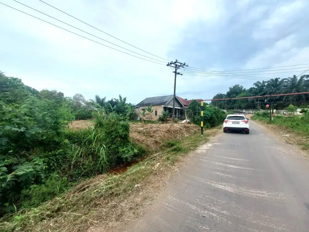 Jual Tanah KM 7 SHM Dekat Jalan Utama Sulaiman Amin