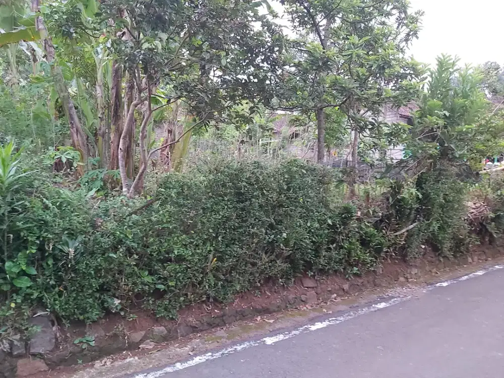 Dijual Tanah dekat wisata Tlogo Resort dan Goa Rong - Tuntang