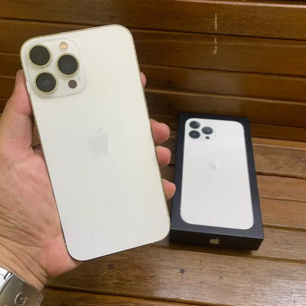 Jual iphone 13 promax 256 gb silver resmi ibox