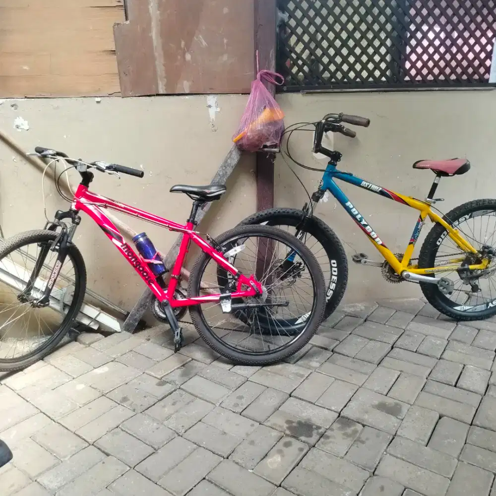 MTB Polygon astroz full alloy