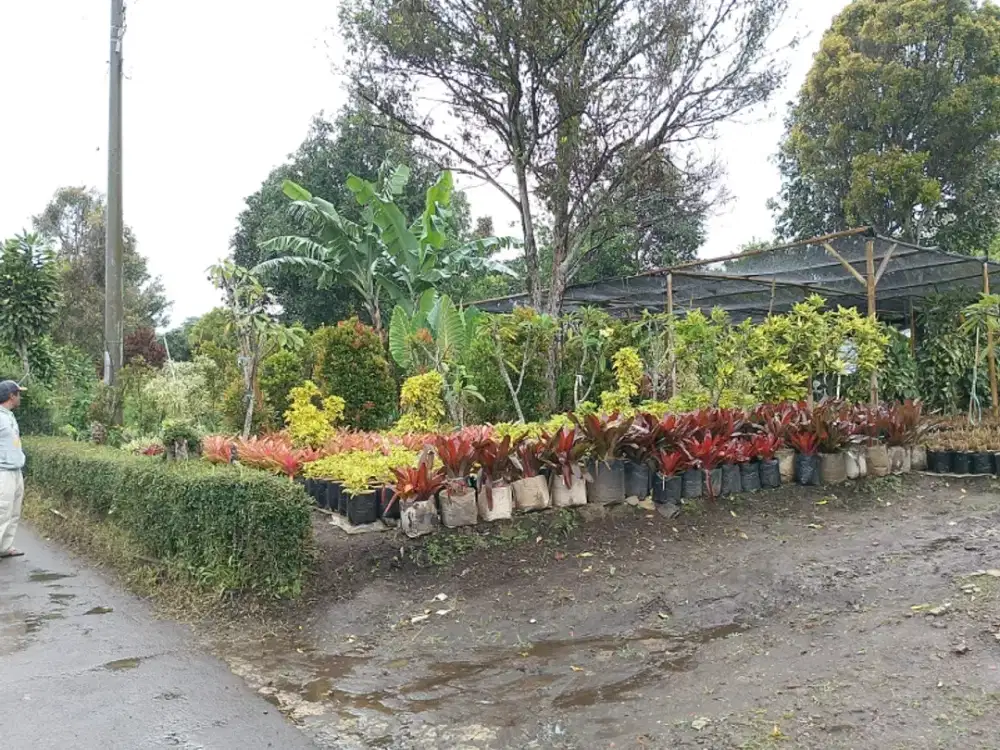 TANAH DEKAT ECO PESANTREN DT BANDUNG