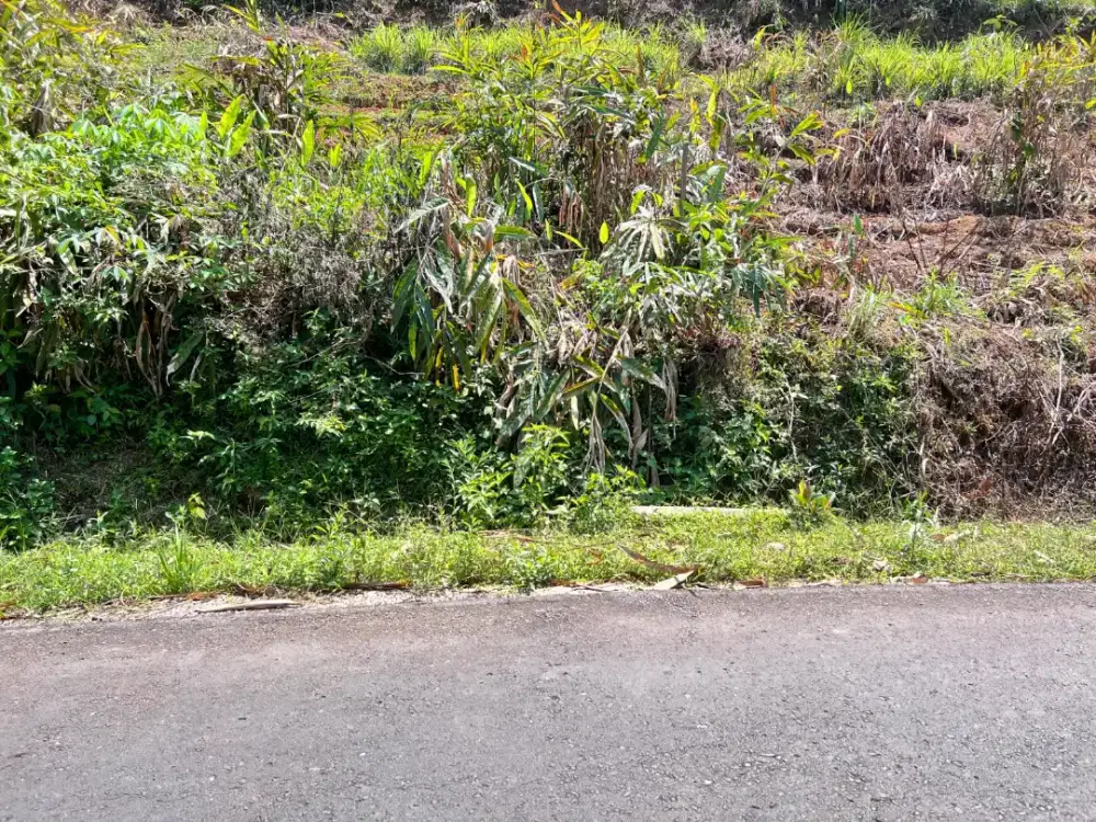 Tanah murah ngargoyoso