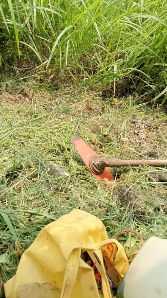 Saya menawarkan jasa potong rumput bisa kebon dan lain