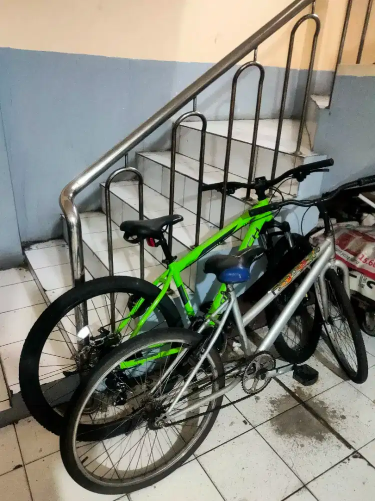 Polygon monarch 275
