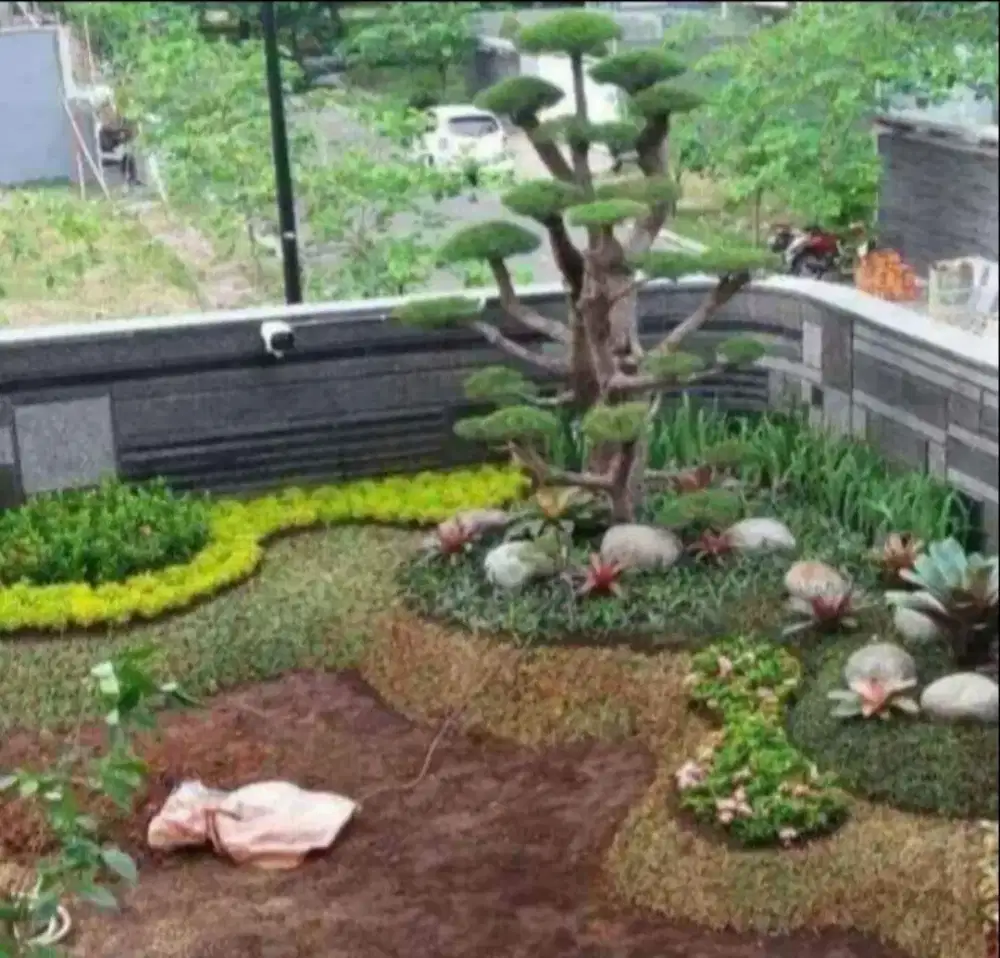 Jual rumput jepang dan gajah mini