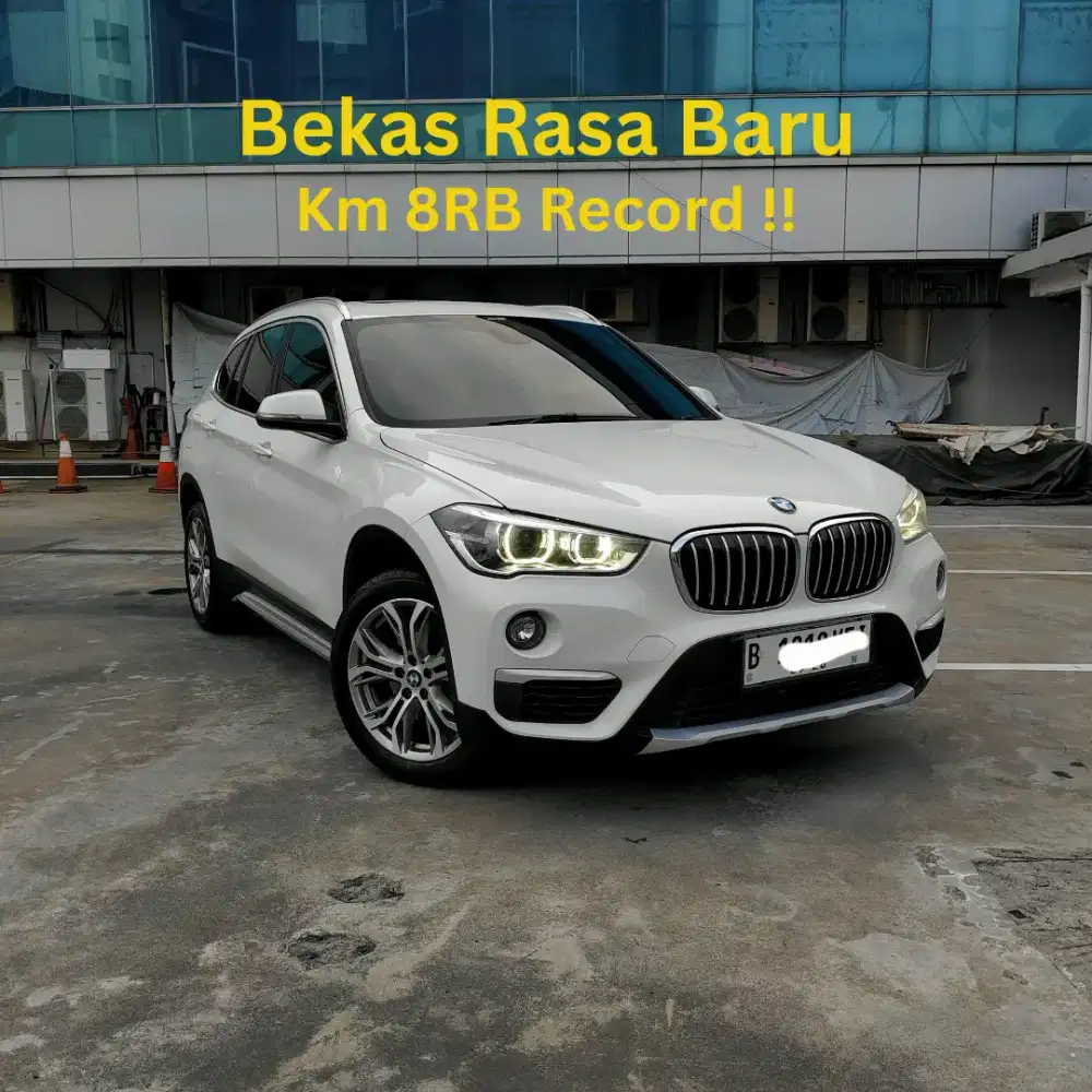 BMW X1 sDrive18i xLine F48 2018 Antikk