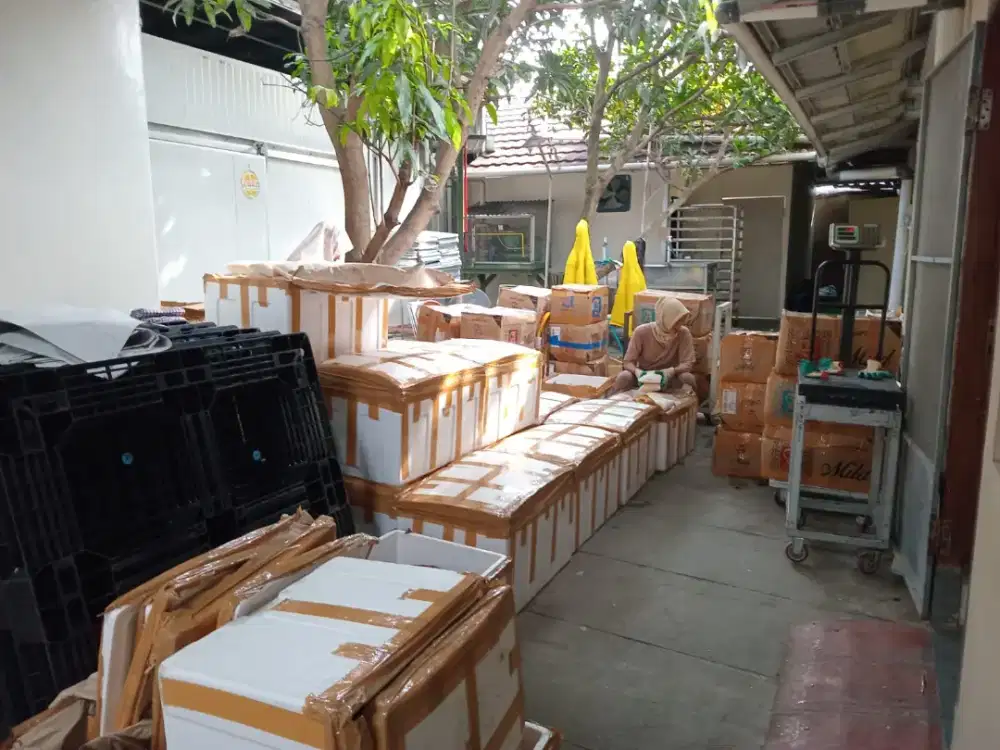Pusat Grosir Daging Durian Yogyakarta
