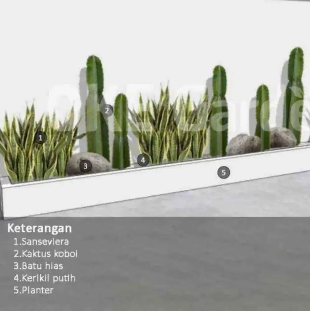 Jual dan terima jasa pembuatan taman kering