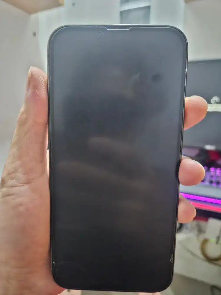 Iphone 13 PM 128 GB Resmi
