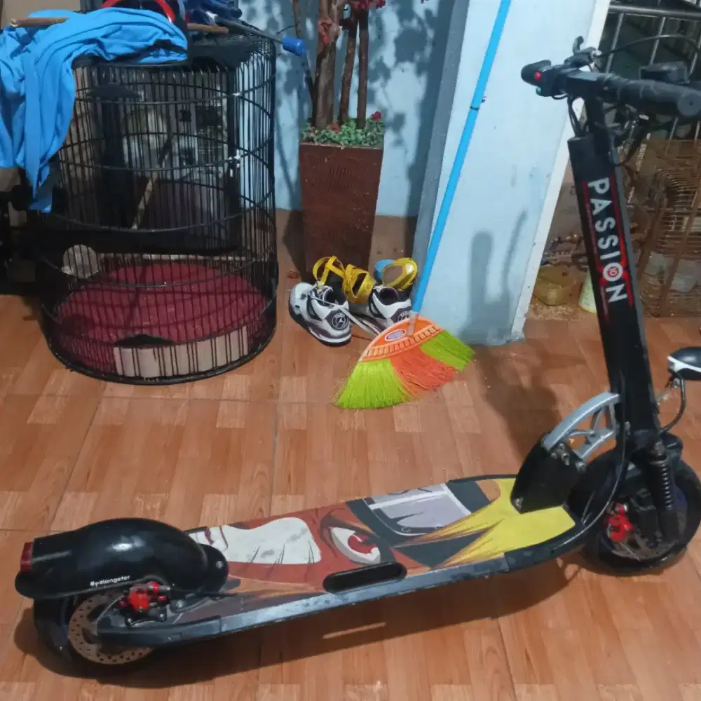 Foldable Electric Scoter passion 10inc 48V 600W