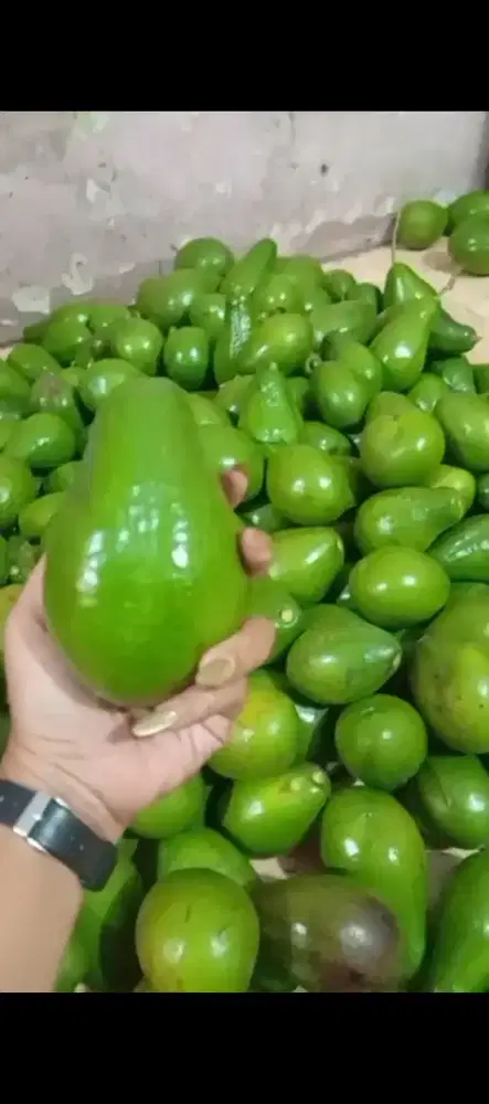 Bagus untuk kesehatan