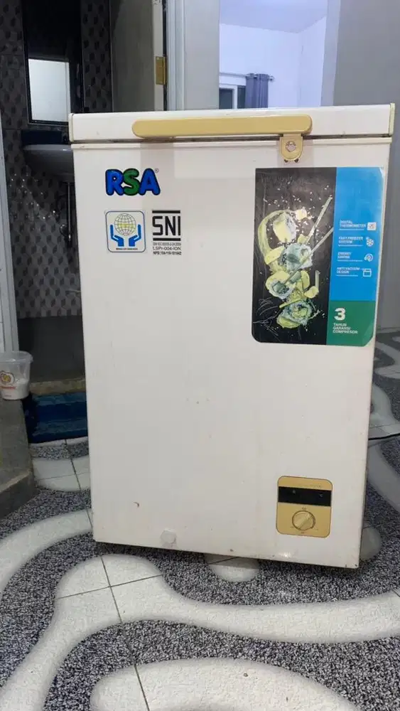 Freezer RSA 100 Lt
