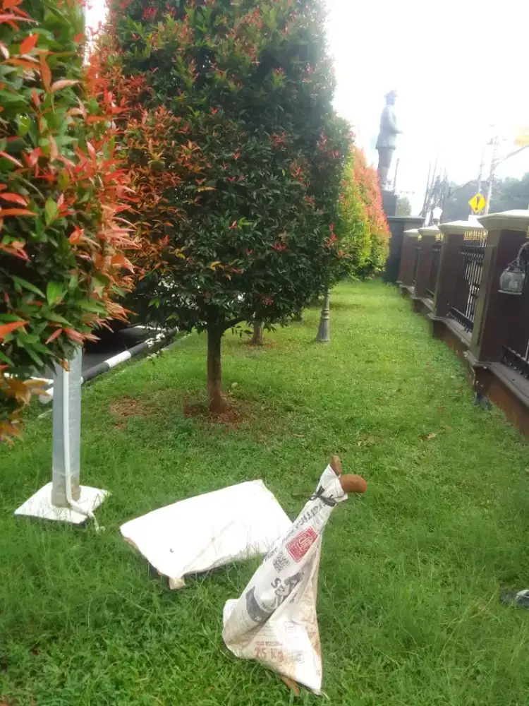 Jasa pembuatan taman murah