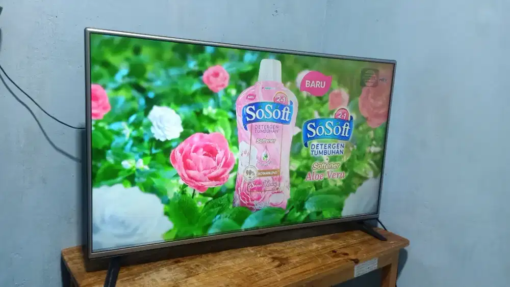 Tv LED LG 49 inch digital minus