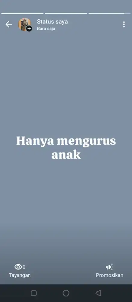 Baby sitter 2 anak