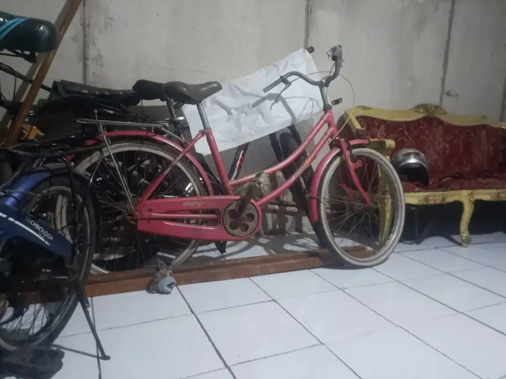sepedah jadul cewe