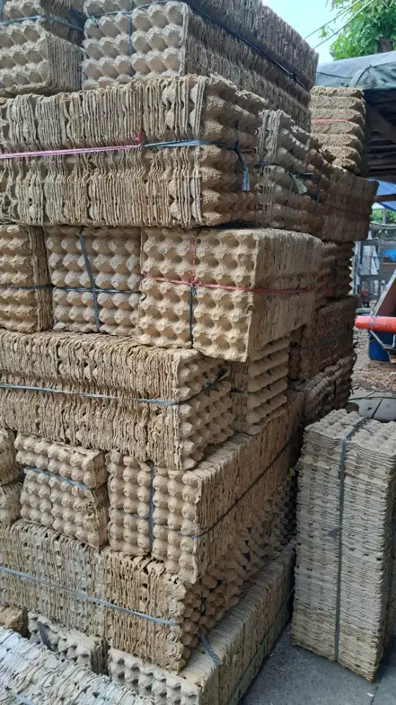 Tempat telur atau kray telur