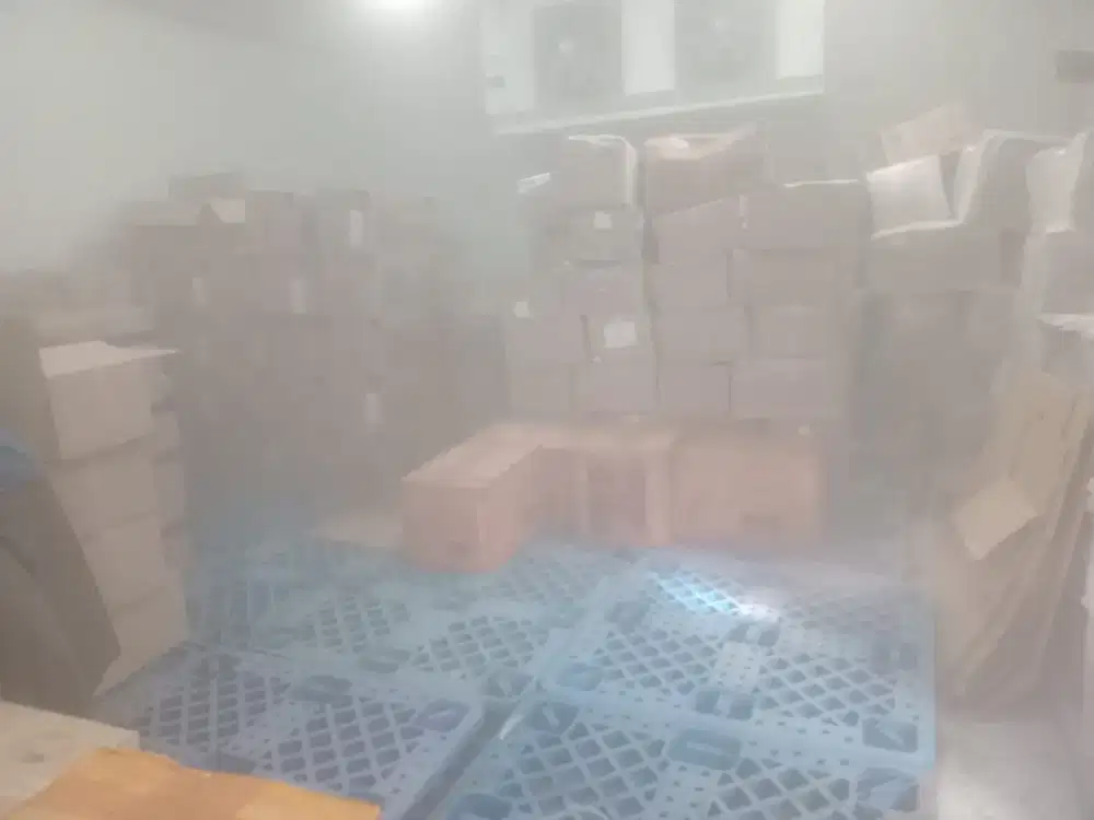 Grosir dan Ecer Daging Durian Tangan Pertama