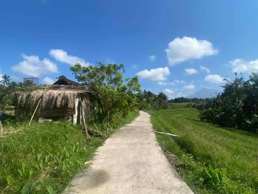 jual tanah Antosari Tabanan bali