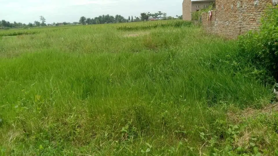 Dijual Tanah kaplingan ukuran 7x10 meter persegi surat Akta Notaris