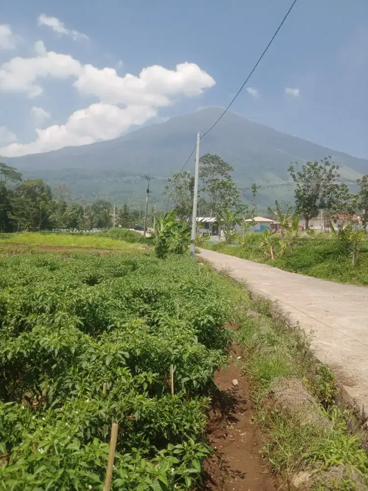 Di jual sebidang tanah