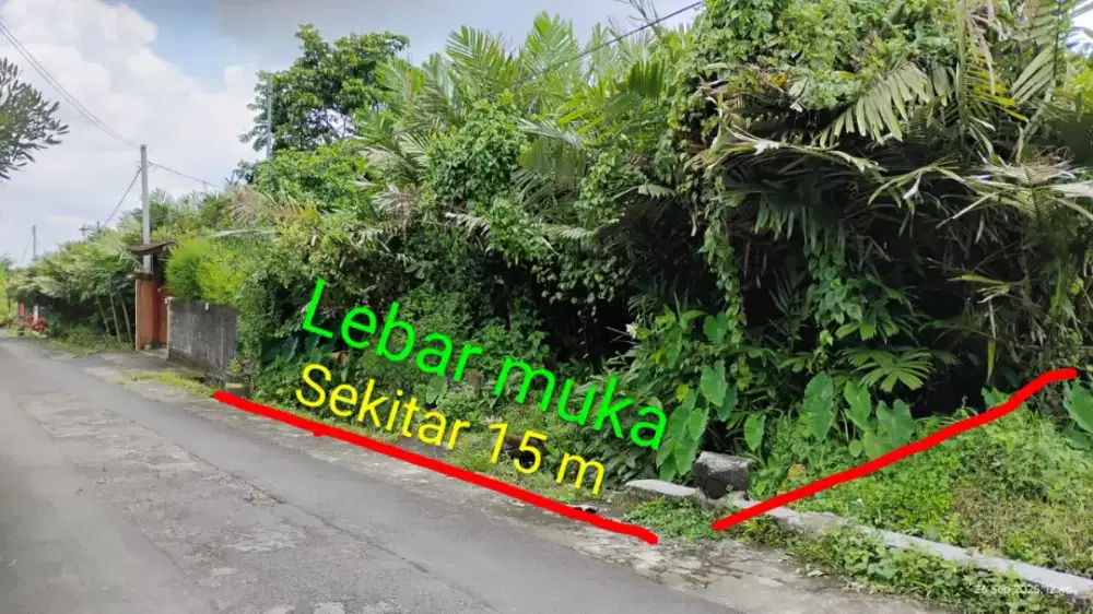 Sebidang Tanah berupa kebun salak yang masih produktif