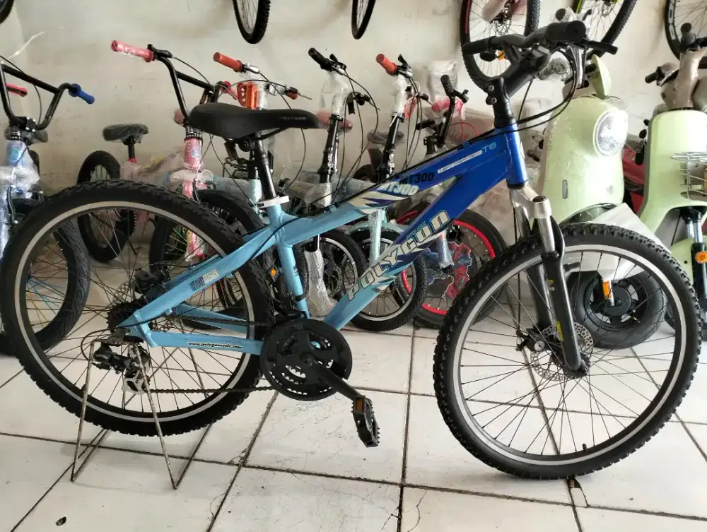 Cod, jual sepeda Mtb 26 Polygon mt300 ( bekas bagus )