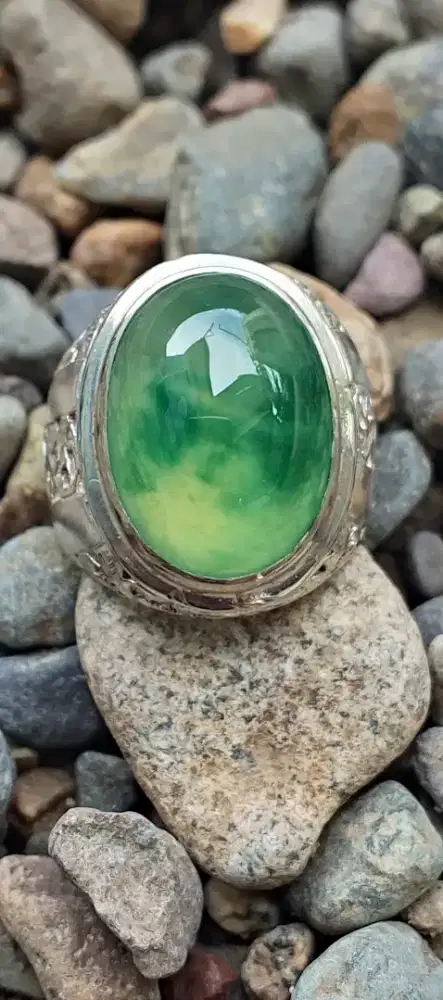 Idocrase Lumut

Dim 18x15x7
