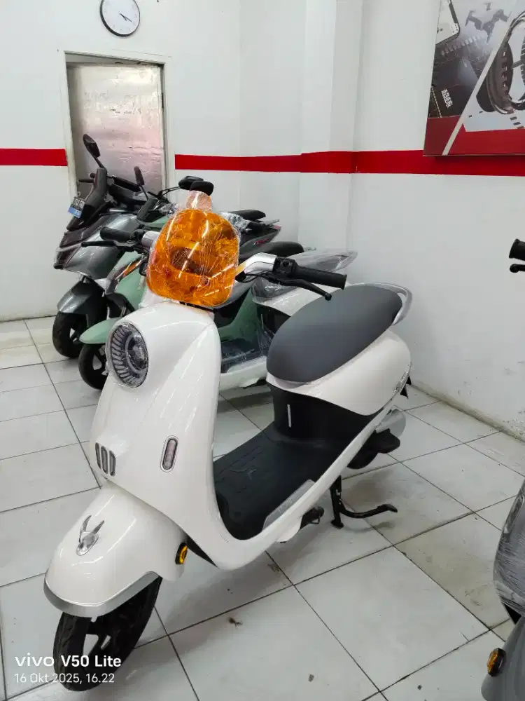 T65L sepeda listrik u winfly