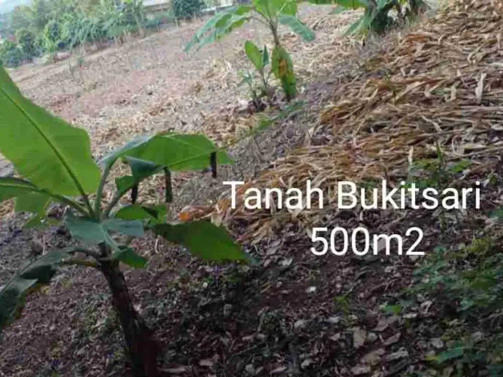 Tanah Bukitsari