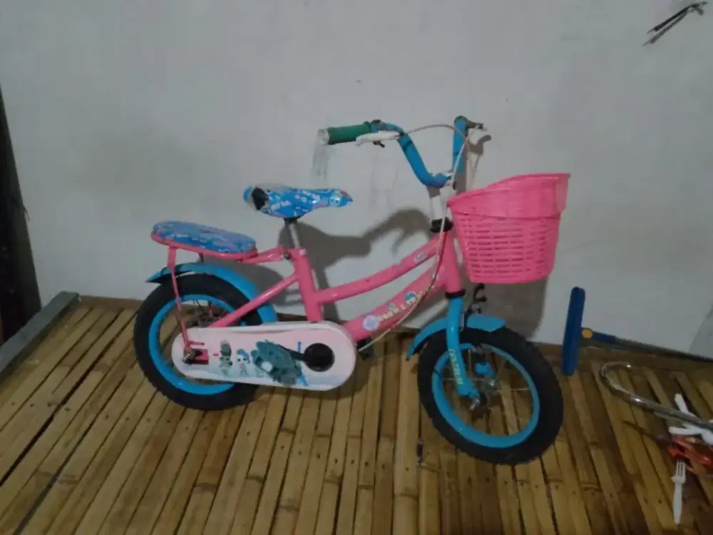 Jual sepeda tinggal pake