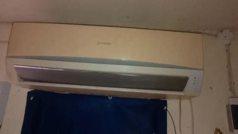AC Sharp 1/2pk Second