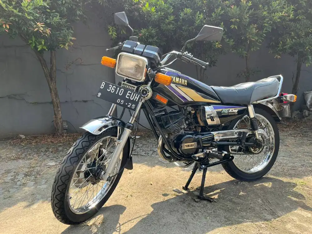 Yamaha RX-King Cobra 1989