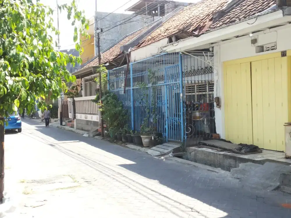 Petolongan MT.Hariono Pekojan