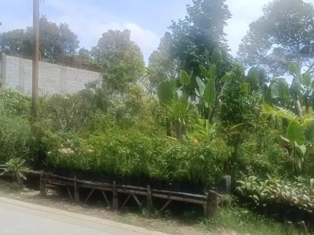 Dijual Kebun Bunga Strategis  Pinggir Jalan Utama Cigugur, Parongpong, Bandung