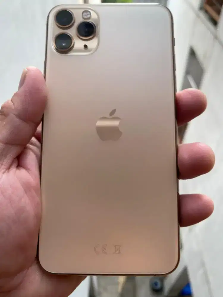Iphone 11 pro max 256Gb x inter all operator